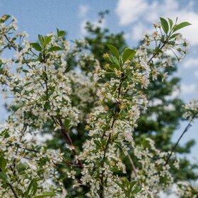 �������