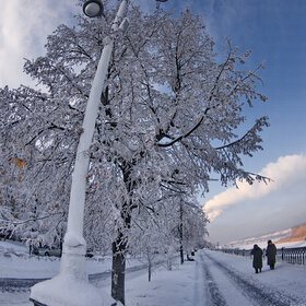 �������