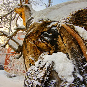 �������