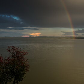 �������