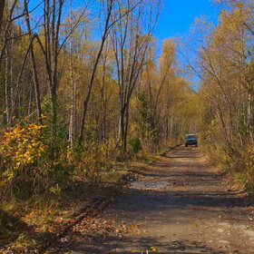 ���������� �� �����������