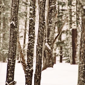 ���������� �� �����������