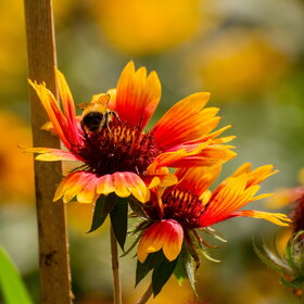 �������