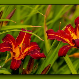 �������