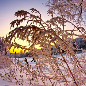 �������