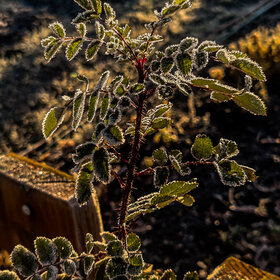 �������