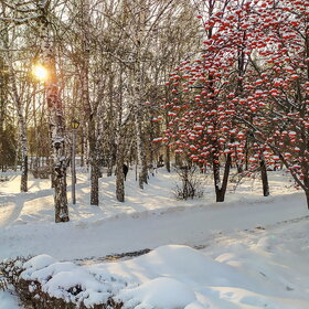 �������