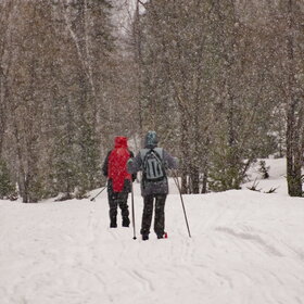 ���������� �� �����������