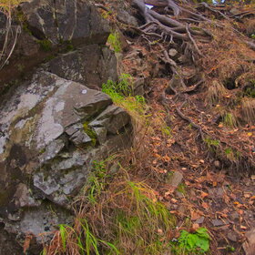 ���������� �� �����������