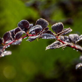 �������