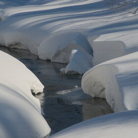 ���������� �� �����������