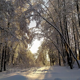 �������