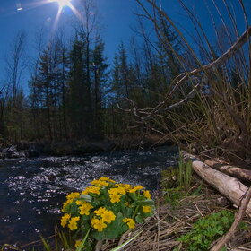 �������