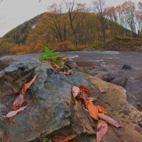 ���������� �� �����������