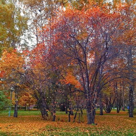 �������