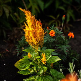 �������