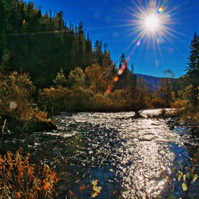 ���������� �� �����������