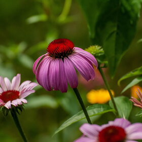 �������