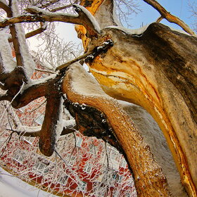 �������