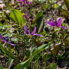 �������