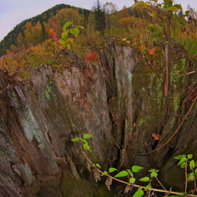 ���������� �� �����������