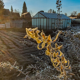 �������