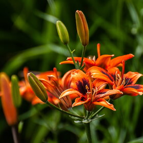 �������