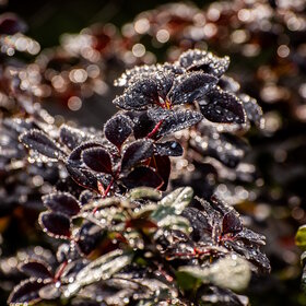 �������