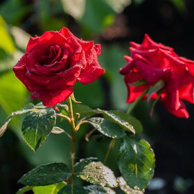 �������