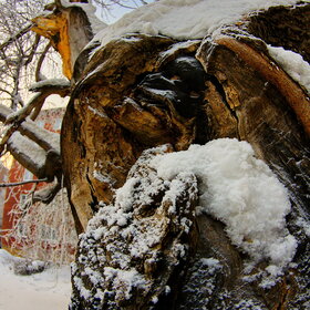 �������