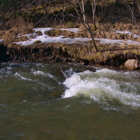 �������