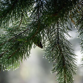 �������