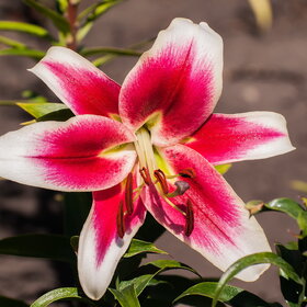 �������