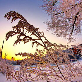 �������