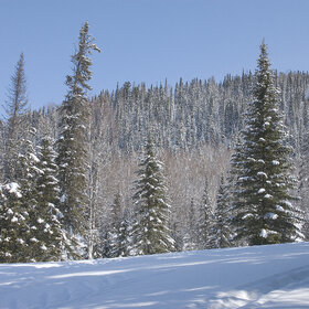 ���������� �� �����������