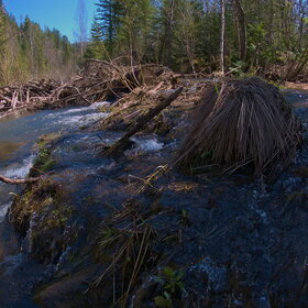 �������