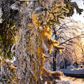 �������