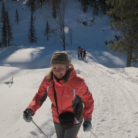 ���������� �� �����������