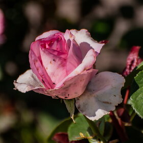 �������