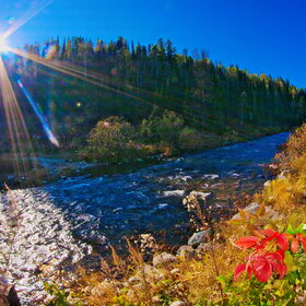 ���������� �� �����������