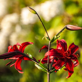 �������