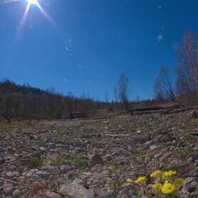 �������