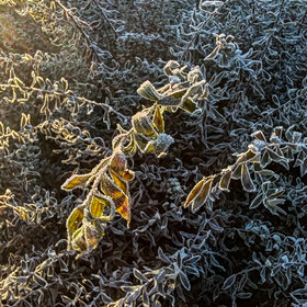 �������