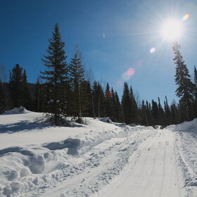 ���������� �� �����������