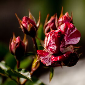 �������