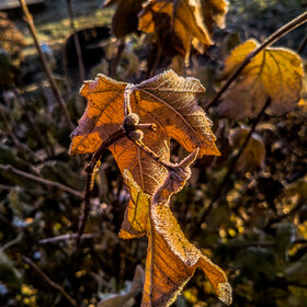 �������