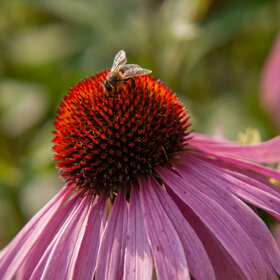 �������