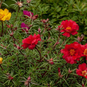 �������