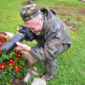 ���������� �� �����������