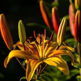 �������